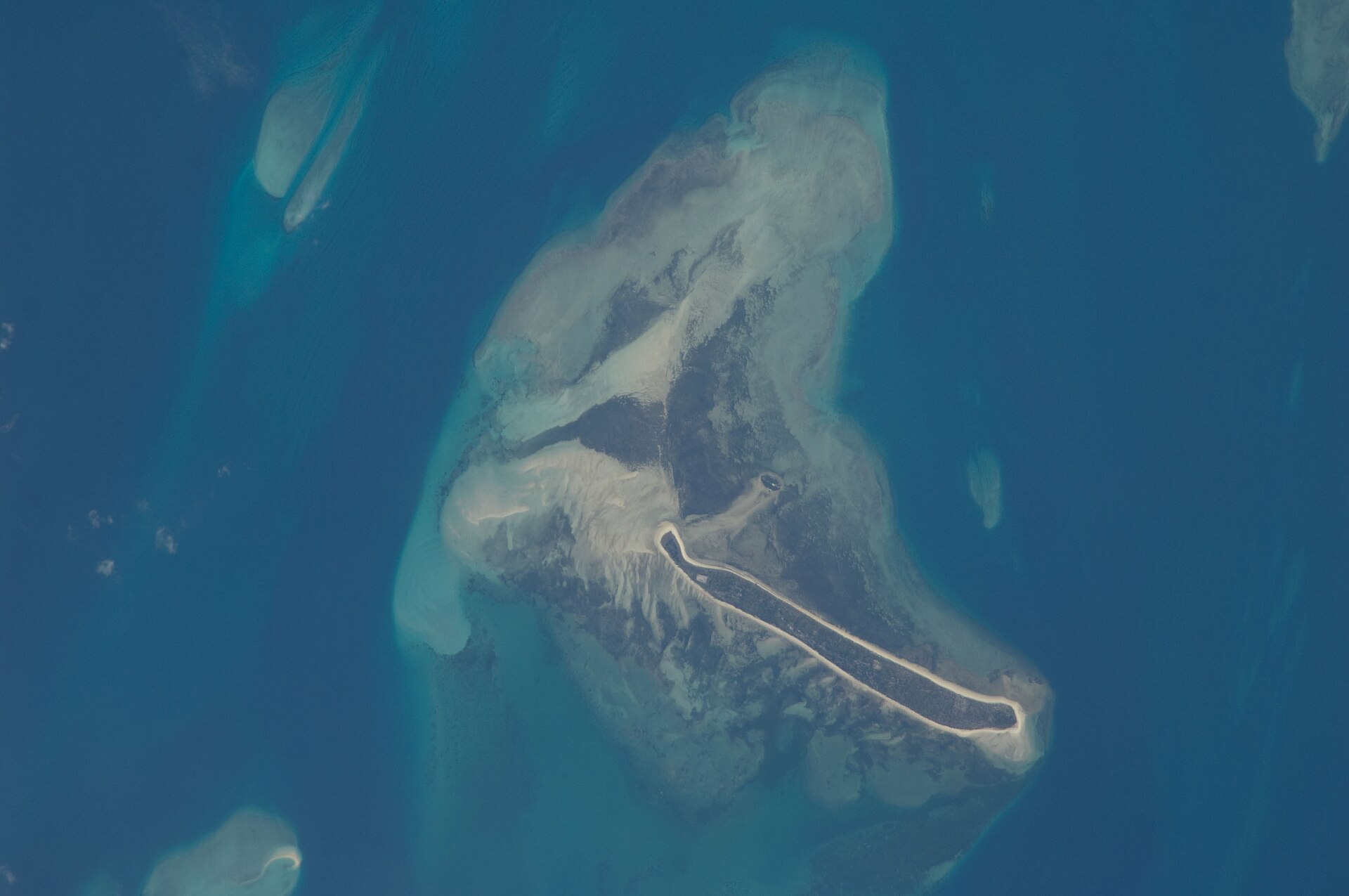 Mafia Island Marine Park