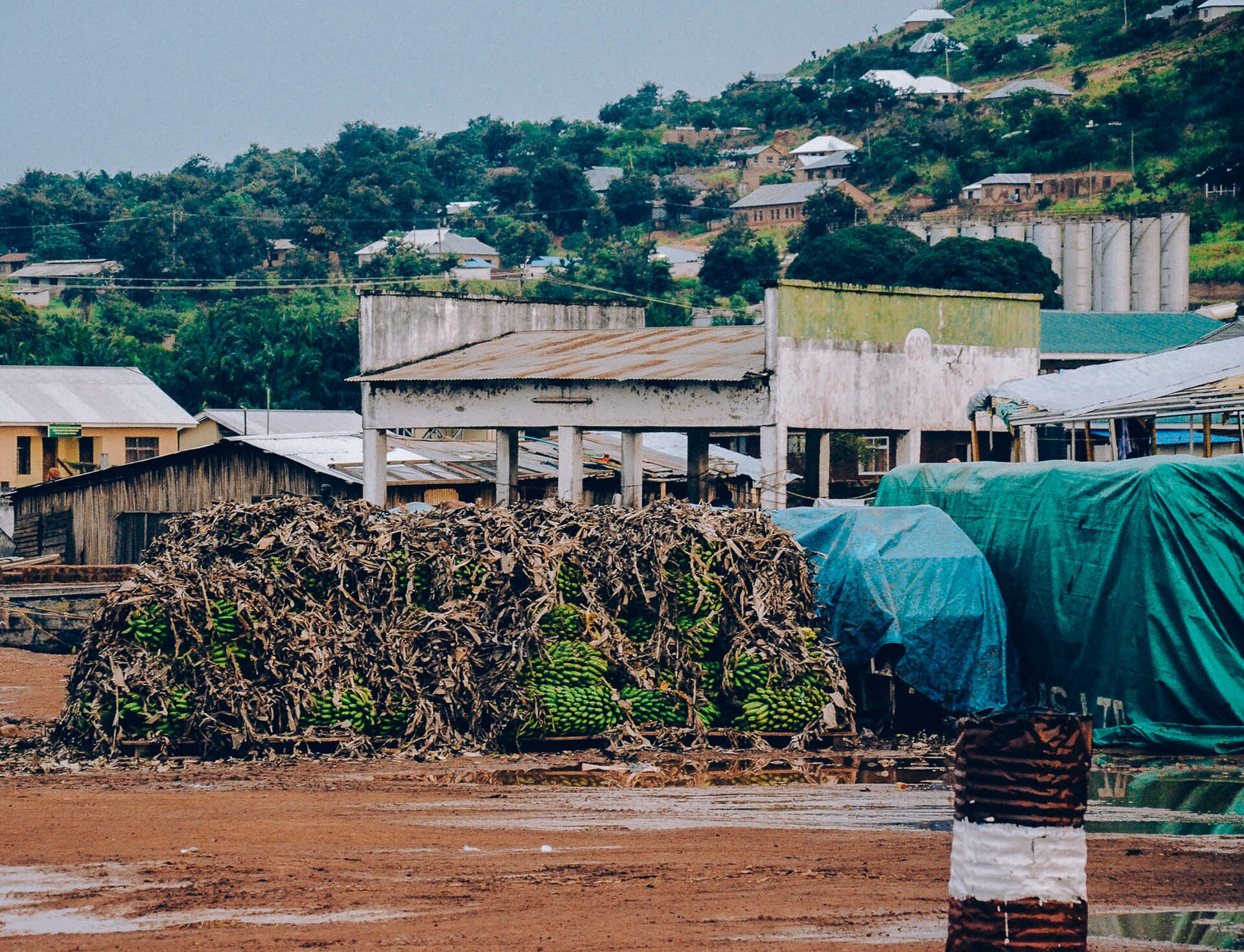 Kigoma