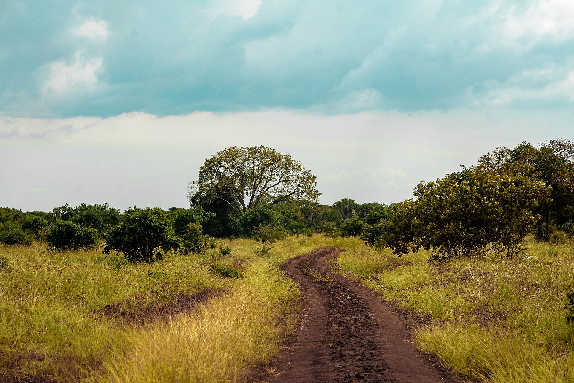 Saadani National Park