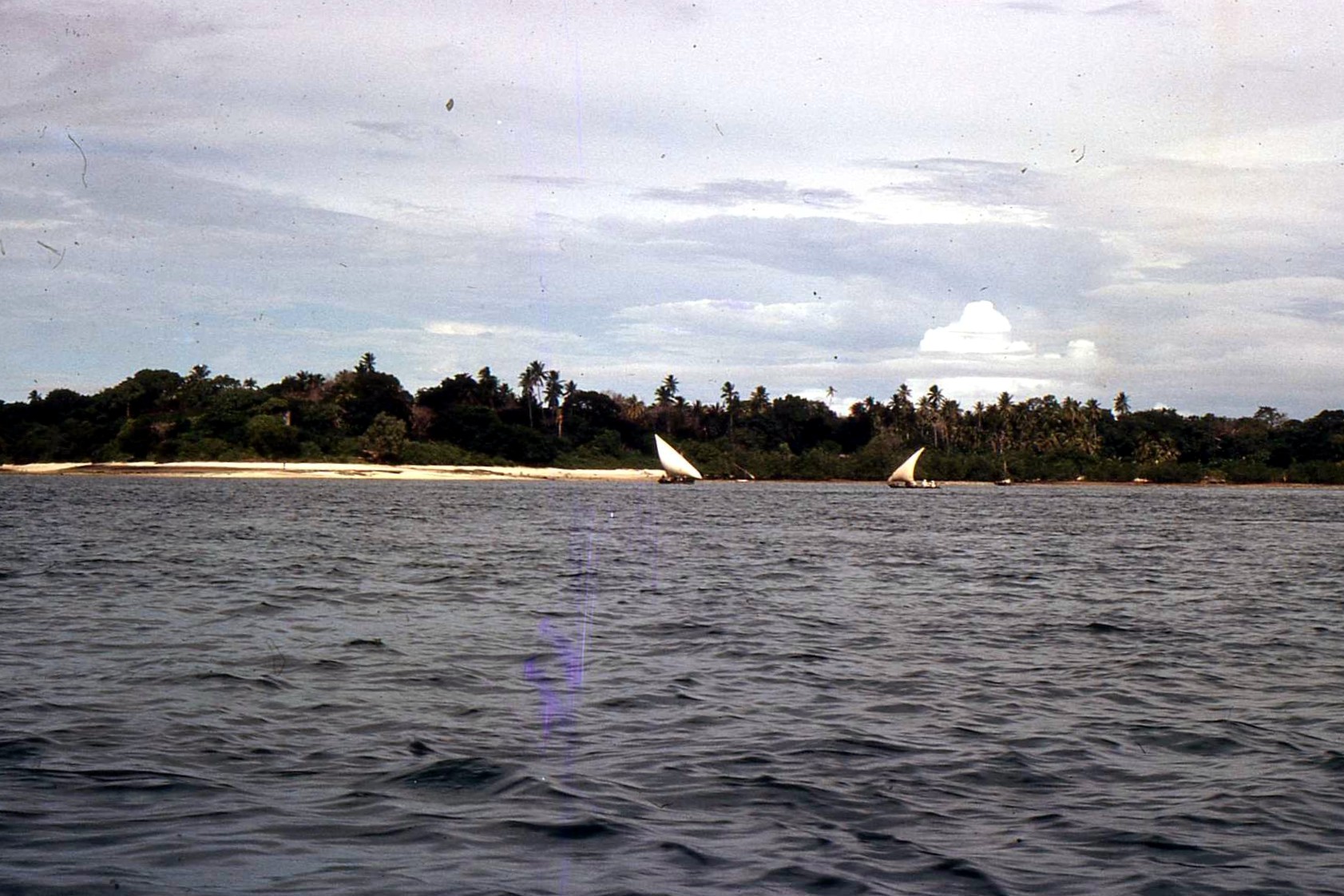 Mafia Island