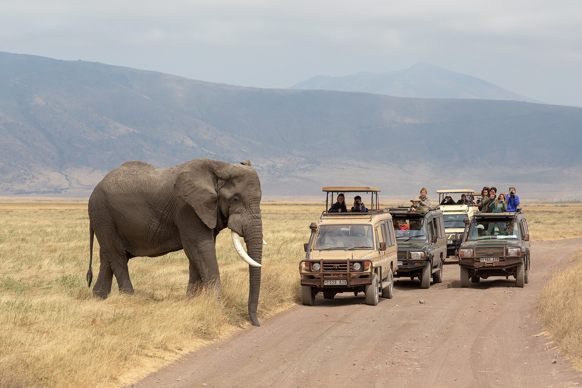 Ngorongoro Conservation Area