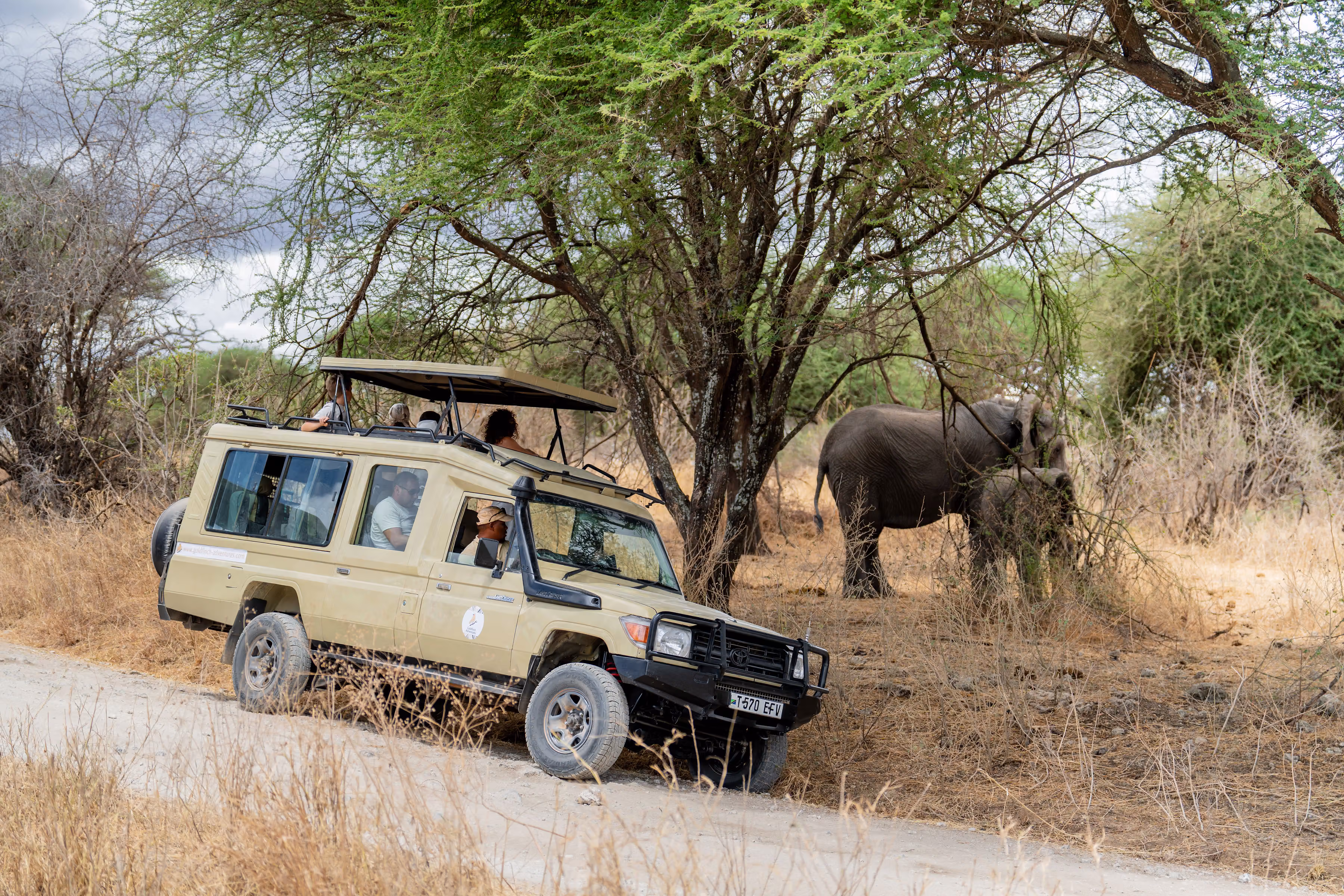 6-Day Northern Circuit Safari — Tarangire, Serengeti & Ngorongoro